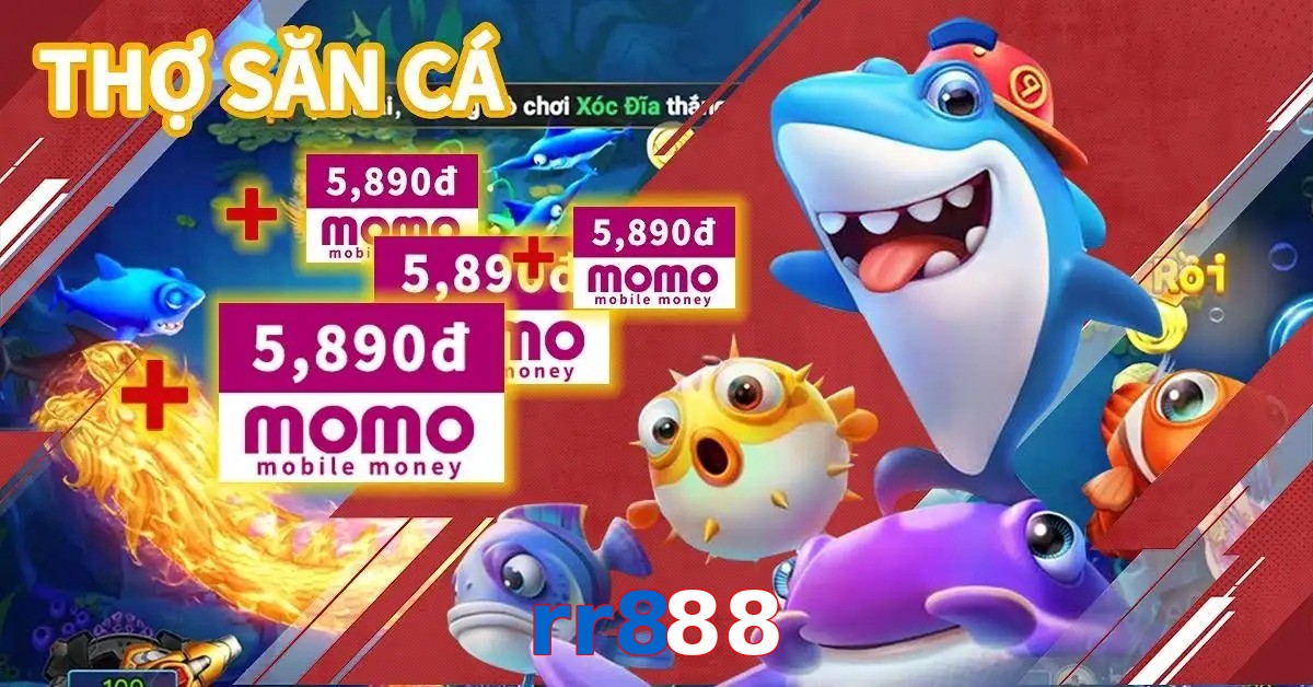 rr888